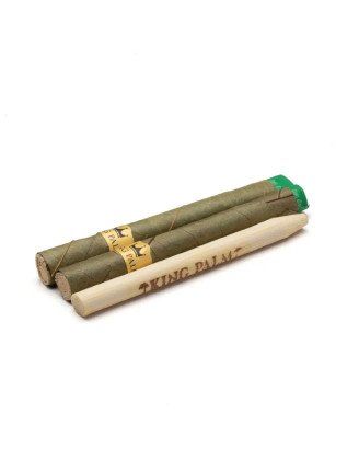 King Palm 2 Mini Cones