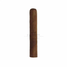 CUSANO ROBUSTO (1U)