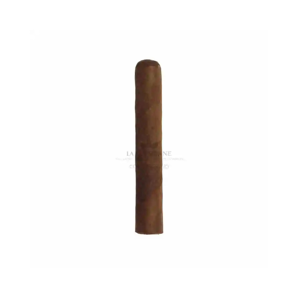 CUSANO ROBUSTO (1U)