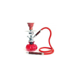 CHICHA P ROUGE