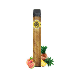 EBARRO LIQUIDEO HAWAI HOOKAH 2000 PUFFS 2%