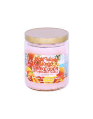 Smoke Odor Exterminator Candle
